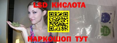 гидропоника Пенза