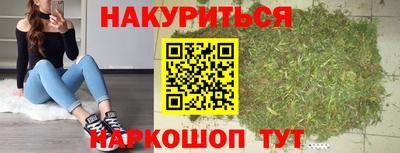 гидропоника Пенза