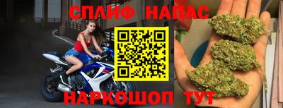 гидропоника Пенза